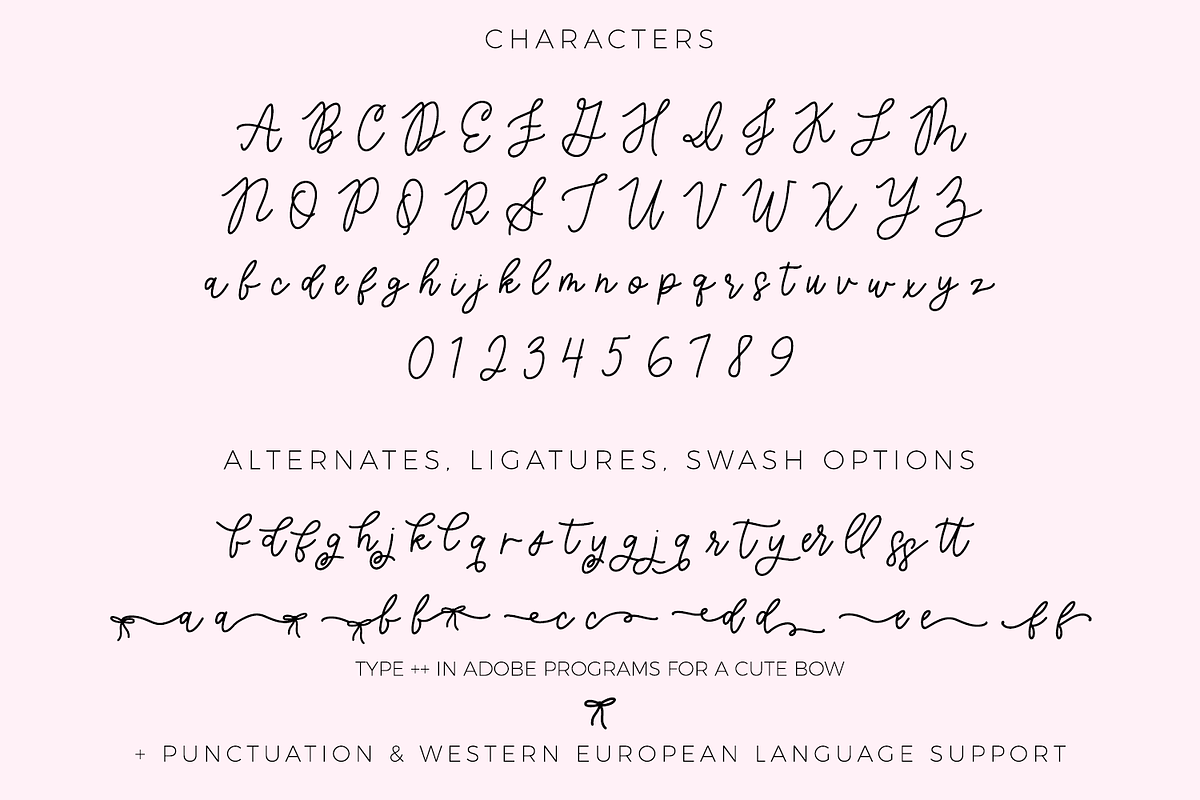 Coquettish Script, a Script Font by Beck McCormick (Photo 10 of 10)