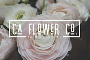 Modern Logo Sans Font Bundle, a Sans Serif Font by Jen Wagner Co (Thumbnail 29 of 39)