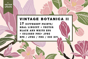 Vintage Botanica II