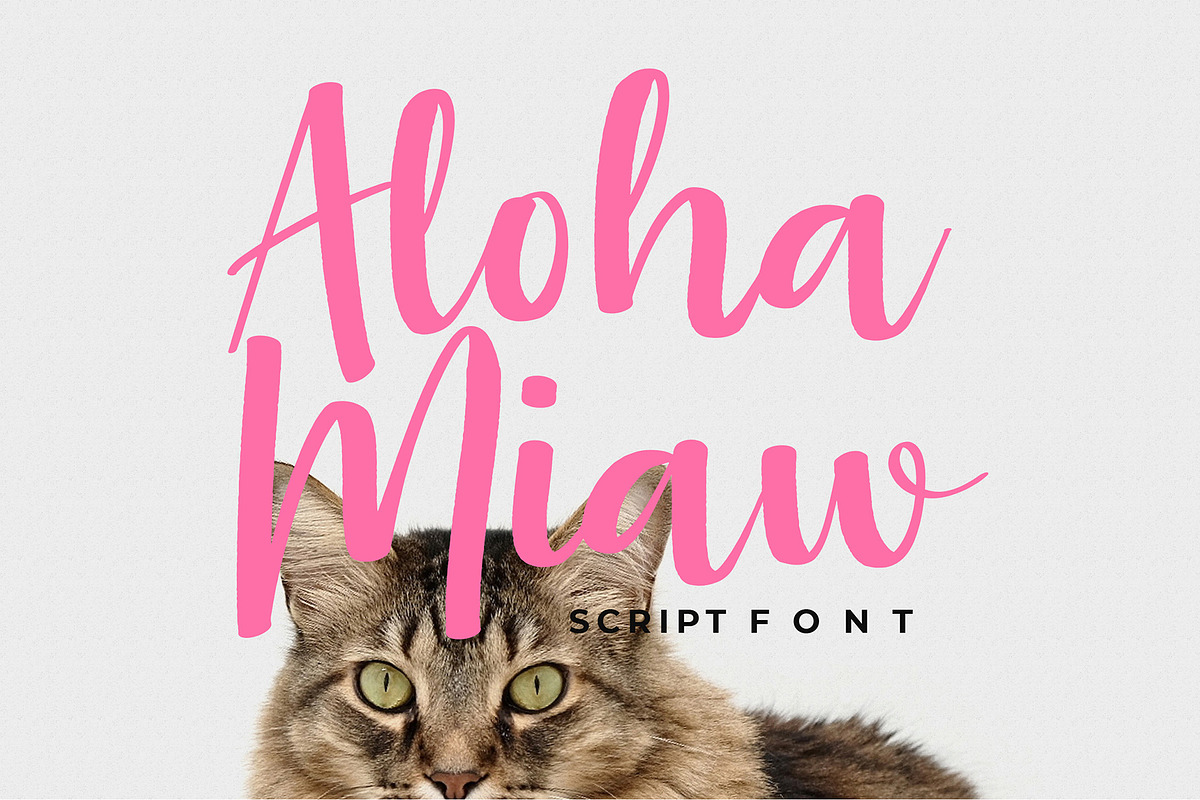 Aloha Miaw Script Font