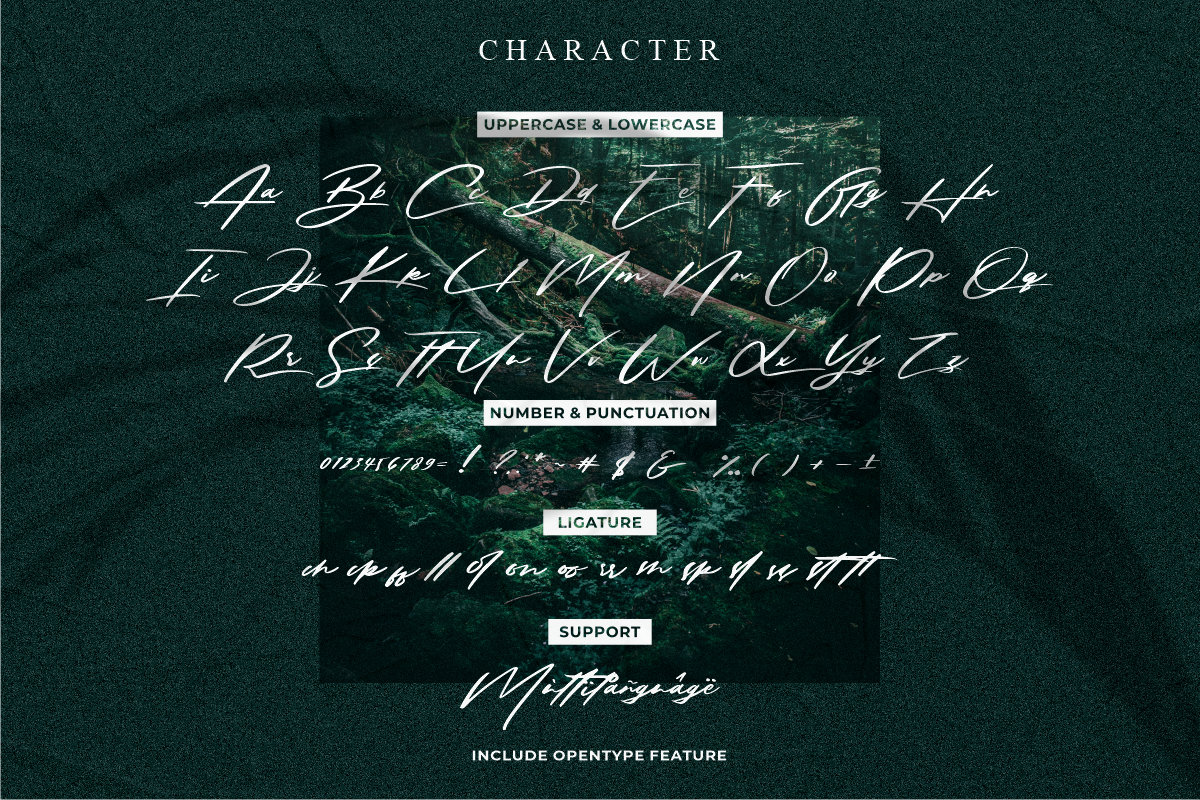 Solustion Bold Signature, a Script Font by Glyphstyle (Photo 7 of 11)