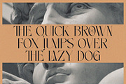 Noleum - Display Serif, a Serif Font by executypeStudio (Thumbnail 11 of 12)