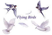 Watercolor Flying Birds, an Animal Illustration by Valentyna Smordova (Thumbnail 1 of 3)