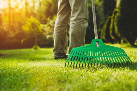 The man is grabbing the grass containing gardening, garden, and tool