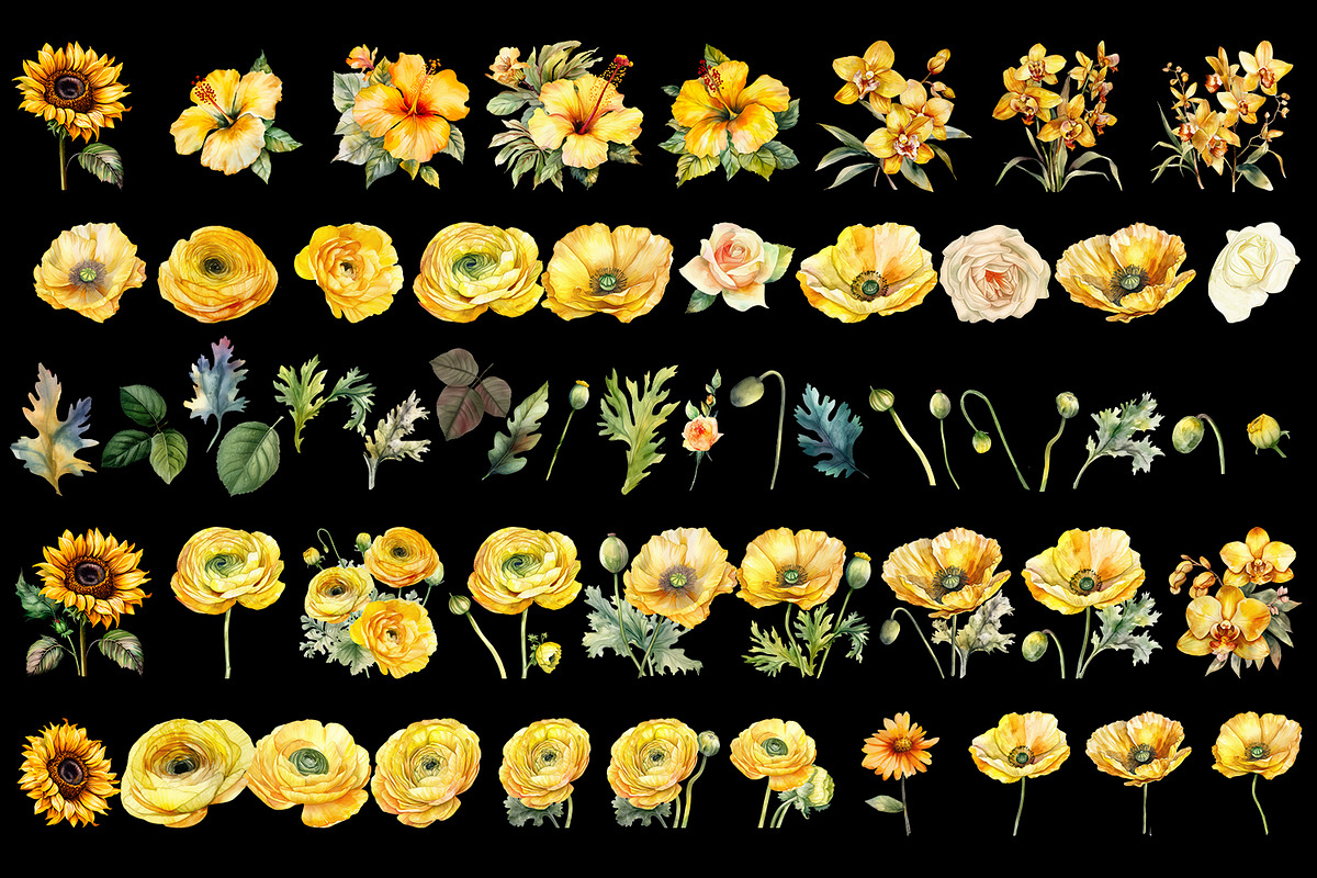 Yellow flower. Watercolor clipart, a Decorative Illustration by ElenazlataArt (Photo 3 of 9)