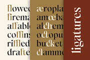 Game & Reality - Fantasy Serif, a Font by Typia Nesia (Thumbnail 3 of 16)