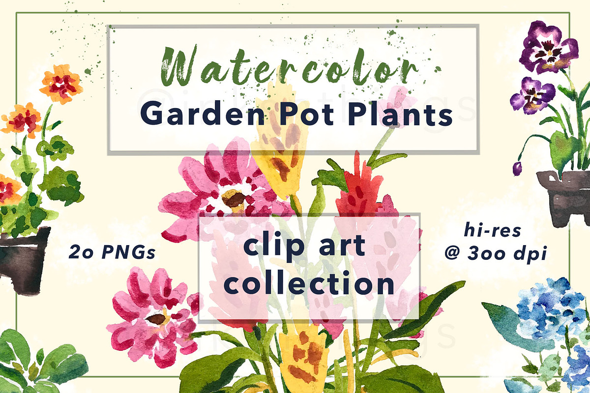 Watercolor Garden Pot Plants, an Illustration by Inksnthings (Photo 1 of 6)