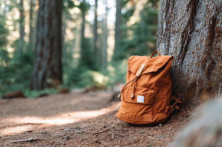 Backpack mockup resting against a tree in a tranquil forest setting, a Beauty & Fashion Photo by AlyaAnd