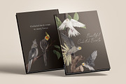 Cockatiel Birds Watercolor, an Animal Illustration by CreativeValuation (Thumbnail 9 of 15)