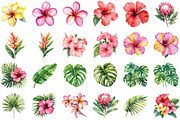 Tropical Floral Watercolor Clipart S, an Illustration by Sublimation Artist (Thumbnail 2 of 6)