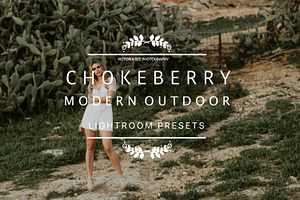 Desktop Lightroom Preset CHOKEBERRY