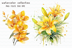 Yellow Flowers Watercolor