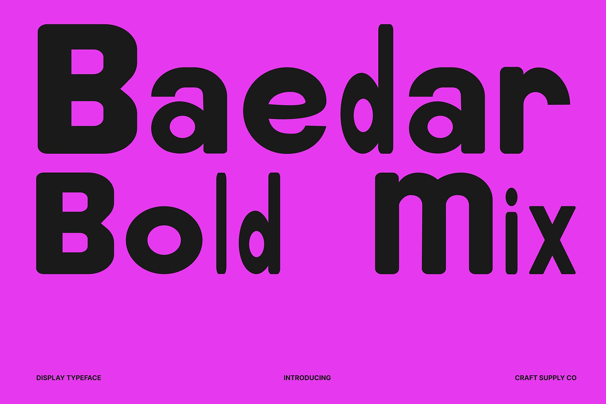 Baedar Mix, a Sans Serif Font by Craft Supply Co. (Photo 1 of 8)