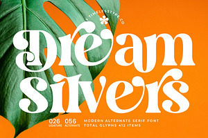 Dream Silvers Modern Serif Font