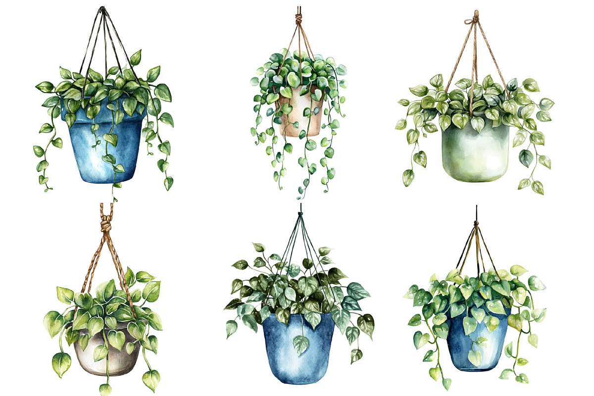 Watercolor Hanging Plant Vase PNG, an Illustration by SinaCreation (Photo 6 of 7)