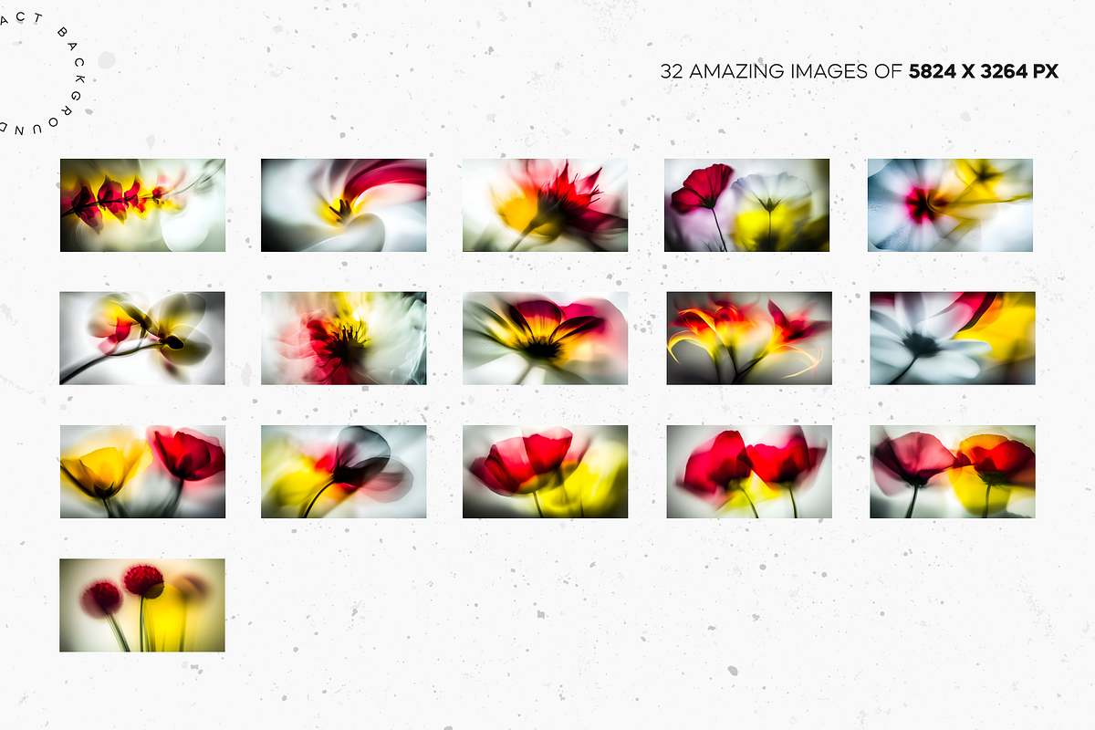 Blurred Summer Petals, a Nature Photo by Lumeno (Photo 2 of 5)