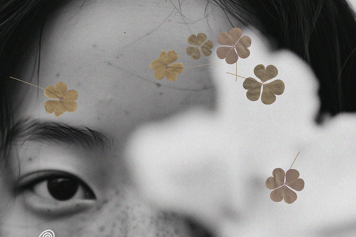 Oshibana Dried & Pressed Fall Leaves, an Object Graphic by Lana Elanor (Photo 2 of 17)