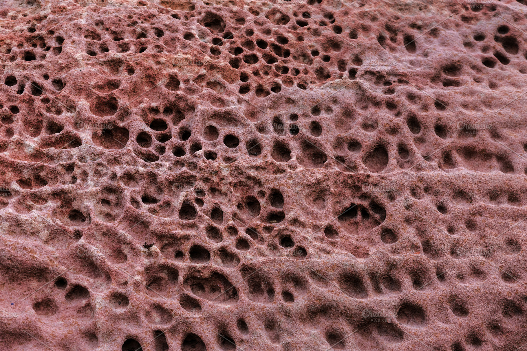 Porous bedrock due to erosion, a Background Photo by Perpis