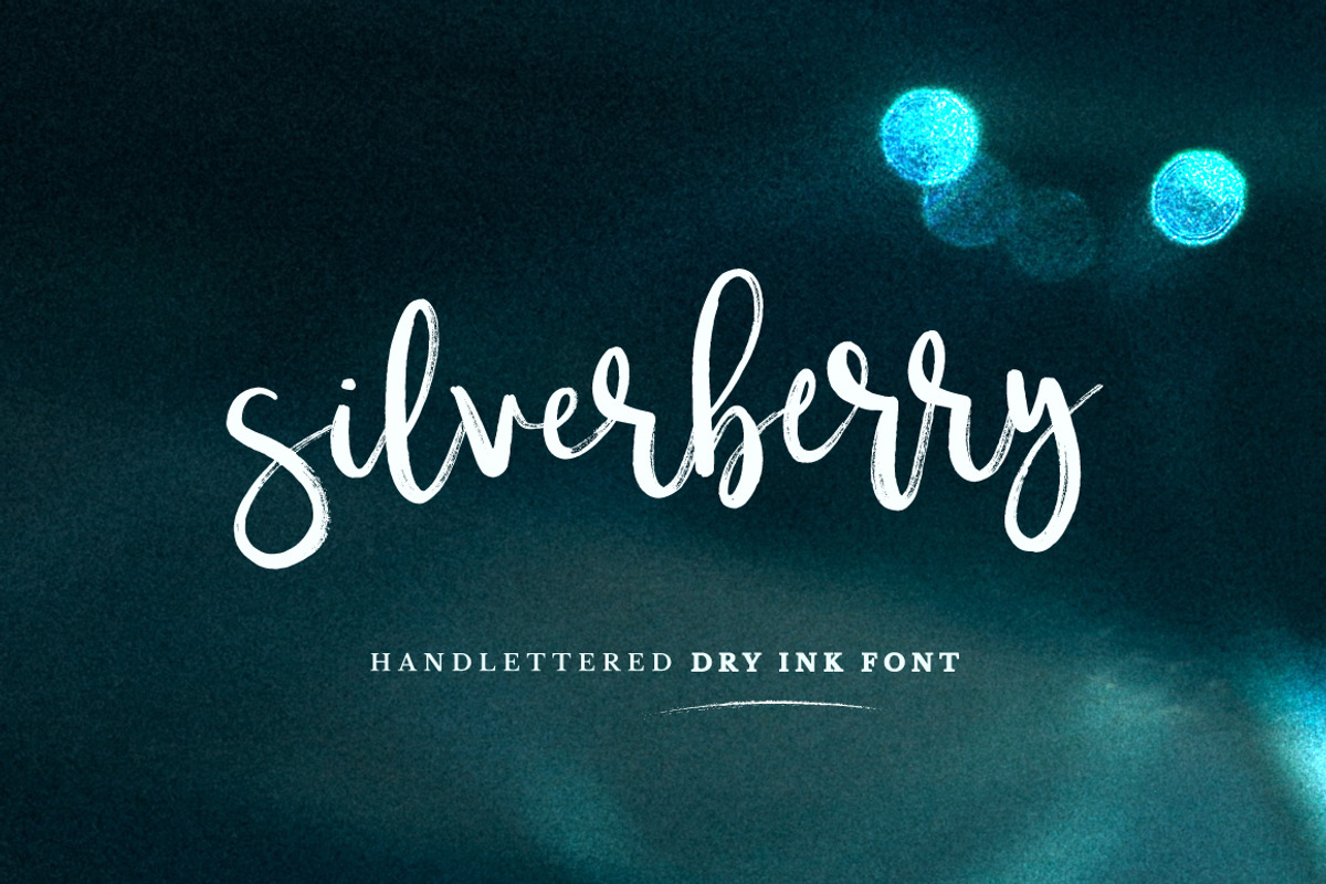 Typographer's Dream Box + 200 Logos, a Script Font by Mats-Peter Forss (Photo 97 of 130)
