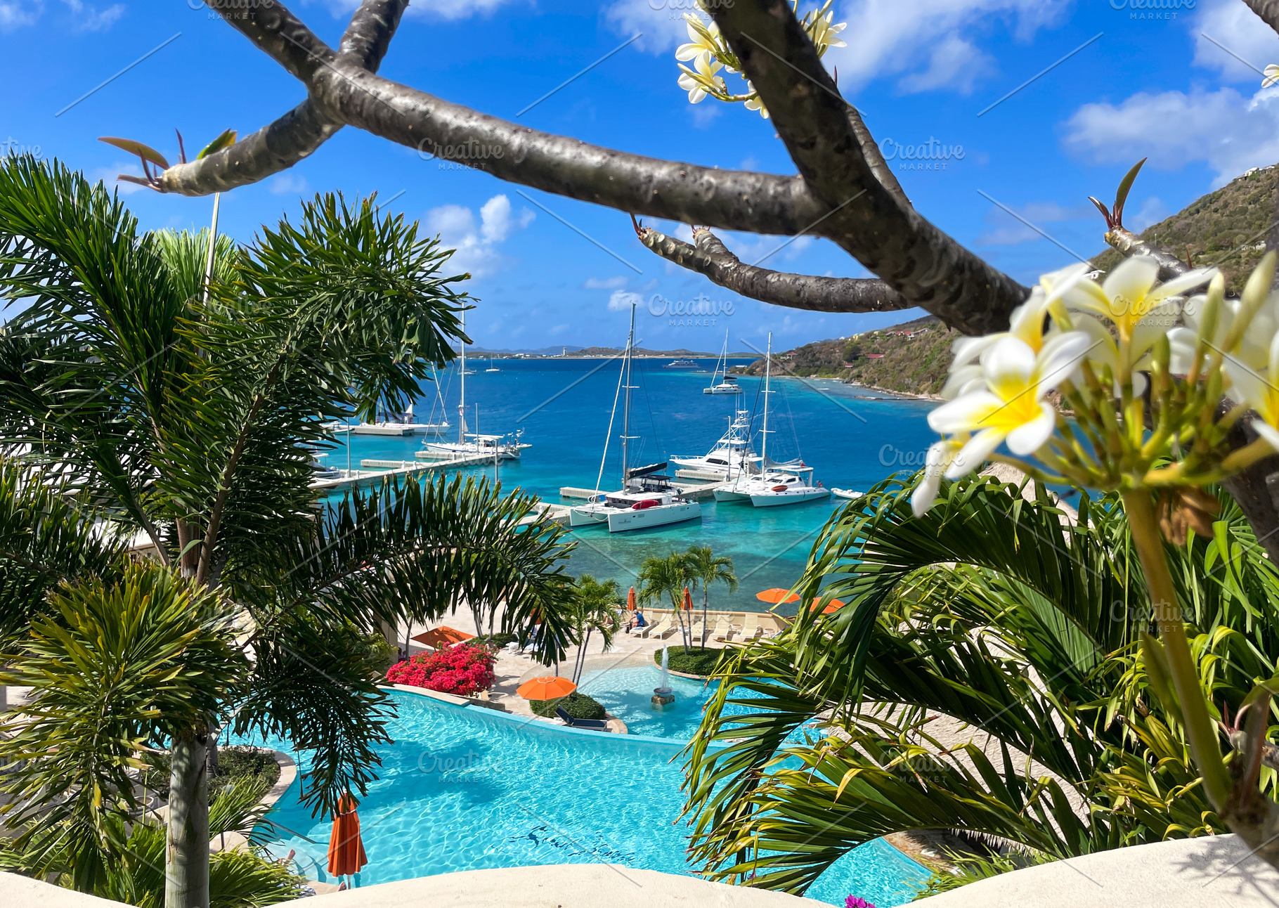 British Virgin Islands sea view, a Holiday Photo by thebeachbell