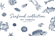 Seafood graphic bundle, an Animal Illustration by Lisa Mill (Thumbnail 1 of 7)