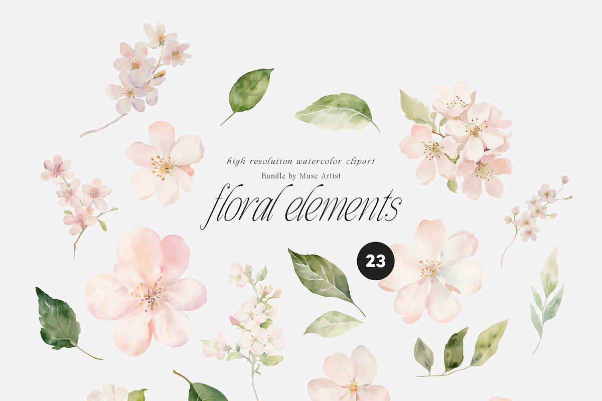 SPRING BOX Watercolor Bundle 400+, a Decorative Illustration by Muse Artist (Photo 46 of 99)