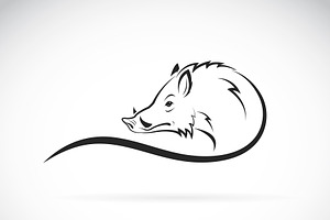 Vector of boar head design., an Animal Illustration by yod67