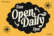 TAN-SUNSET, a Serif Font by TanType (Thumbnail 5 of 11)