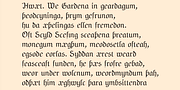 NeuAltisch, a Blackletter Font by Ingrimayne Type (Thumbnail 4 of 8)