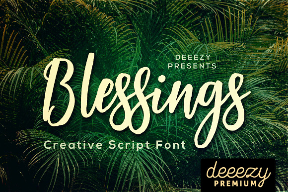 Blessings Script Font preview 8