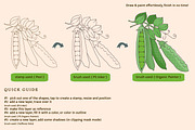 Fruit & Veggies Procreate Stamps, a Brush Add-On by Pink Studio Art (Thumbnail 3 of 8)
