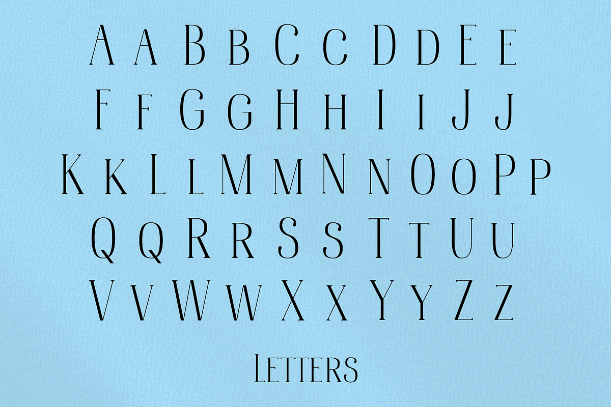 Bonheur Serif, a Serif Font by EW Type Foundry (Photo 3 of 10)