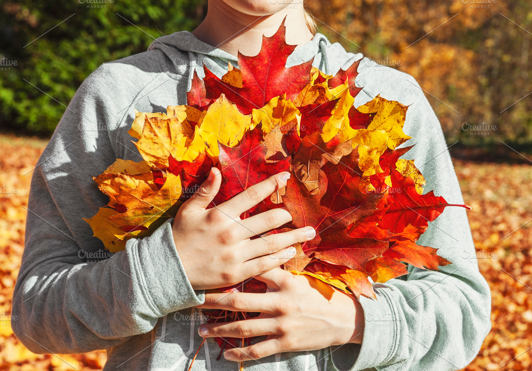 Hands holding pile of maple leaves, a Nature Photo by BOOCYS