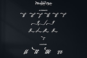 Starlight || Modern Script, a Script Font by Analogous (Thumbnail 15 of 16)