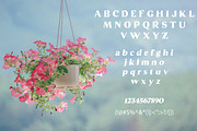 Elyvian | Modern Elegant Serif Typef, a Serif Font by Artdez (Thumbnail 3 of 5)