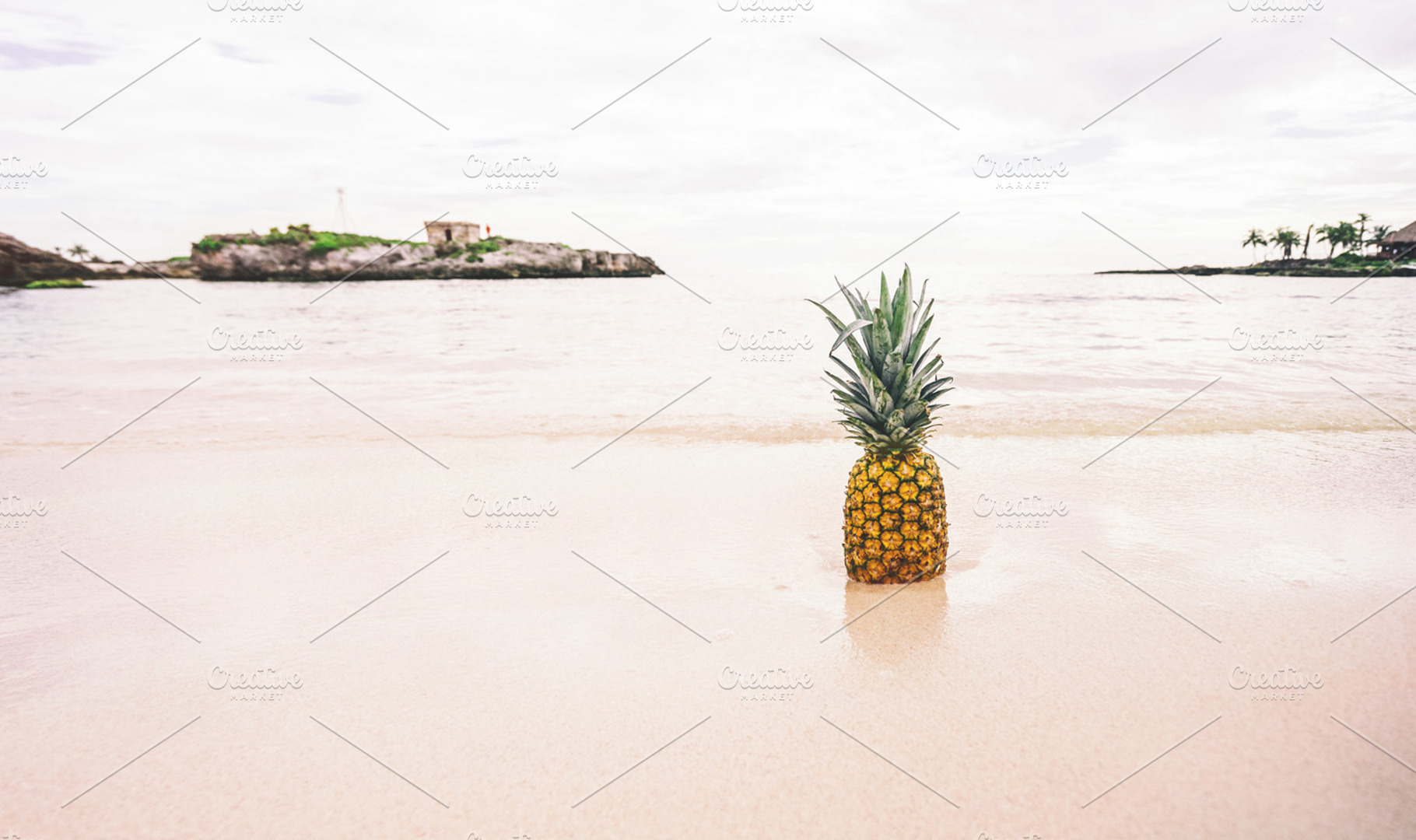 Pineapple in the Sand, a Nature Photo by Pineapple Shop