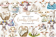Watercolor Lambs Clipart PNG, an Illustration by SinaCreation (Thumbnail 1 of 5)