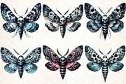 Watercolor Gothic Moth Clipart, an Illustration by DreamCafeArt (Thumbnail 2 of 7)