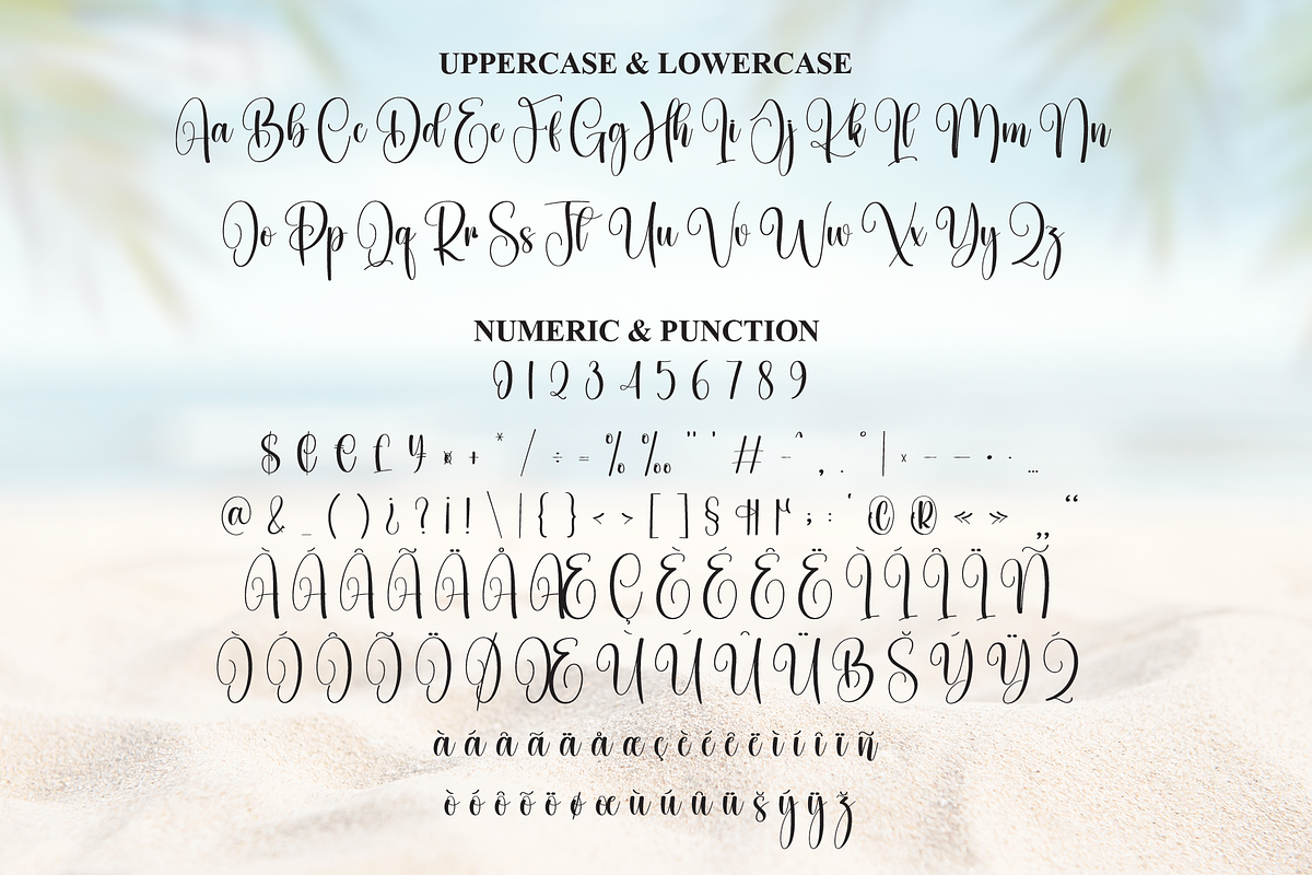 Beach | Script Font, a Handwritten Font by Scratchones