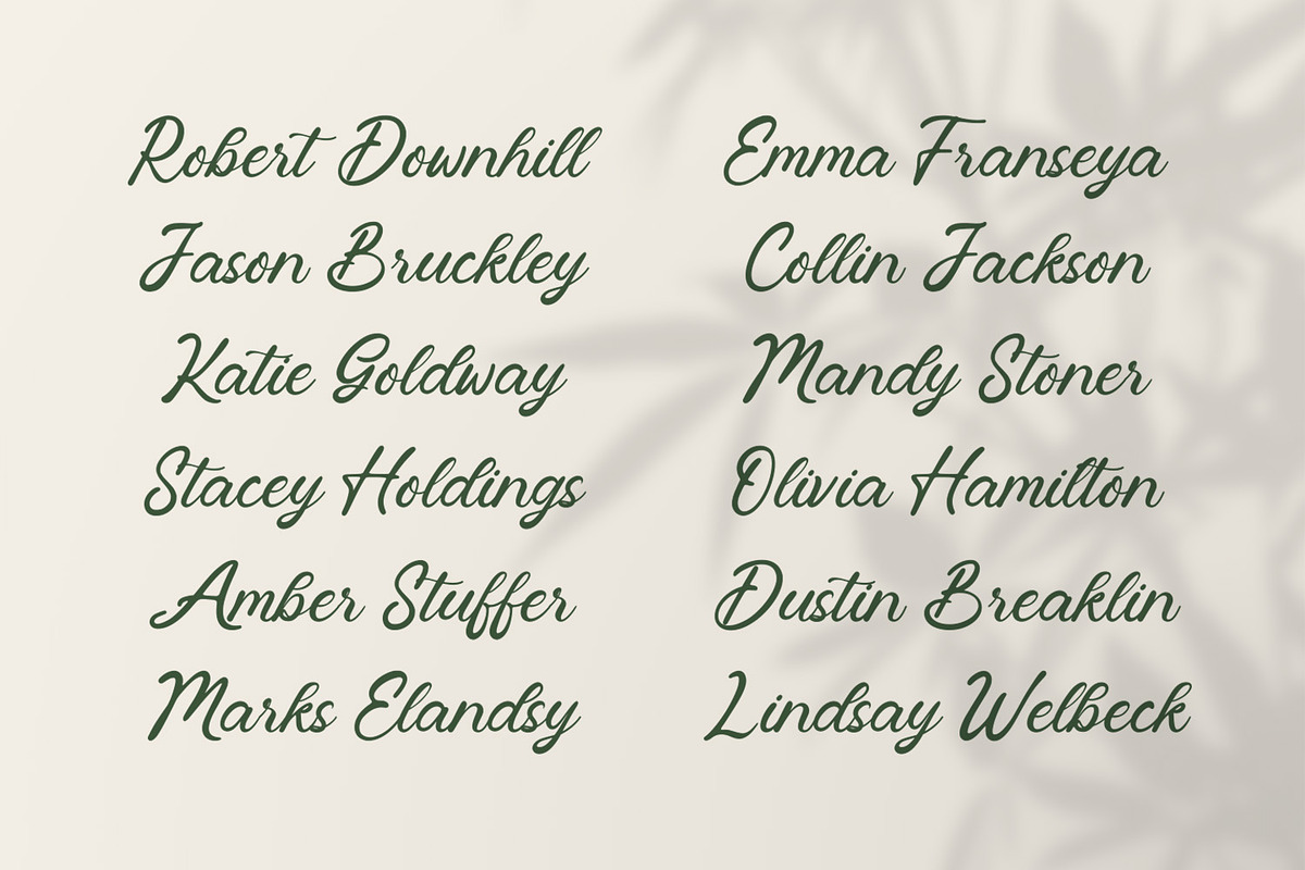 Vintagen Monstera - Handwritten Font, a Handwritten Font by Variatype (Photo 7 of 7)