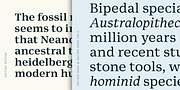 Editora, a Serif Font by Untype (Thumbnail 6 of 12)