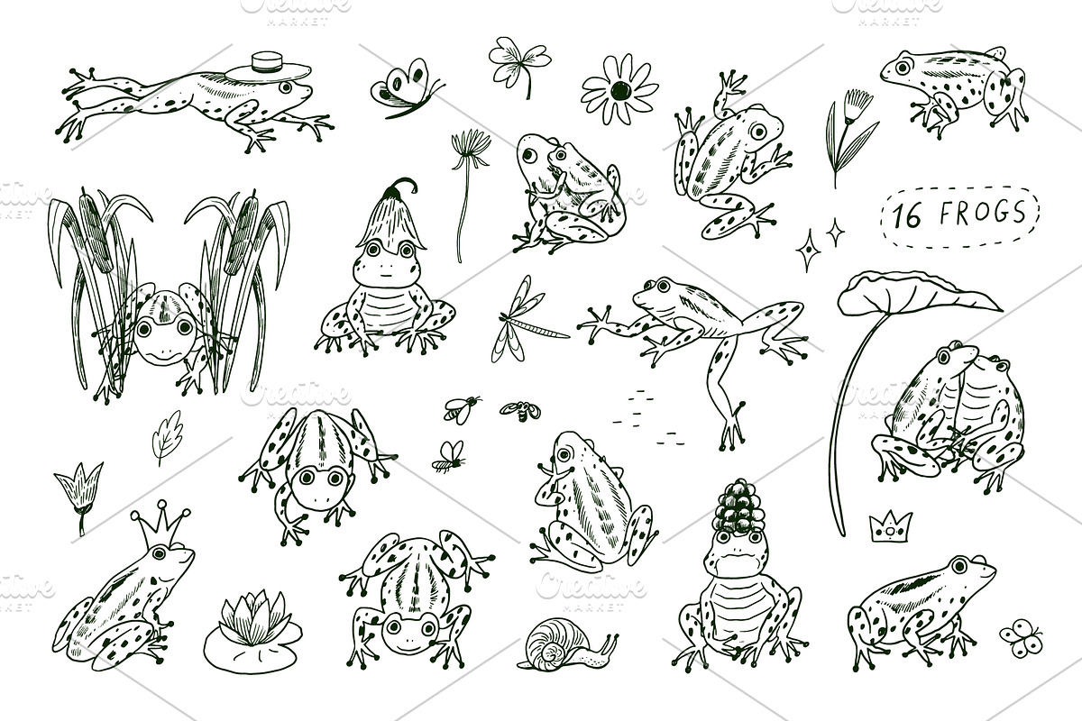 16 Frogs, an Animal Illustration by GooseFrol (Photo 3 of 11)