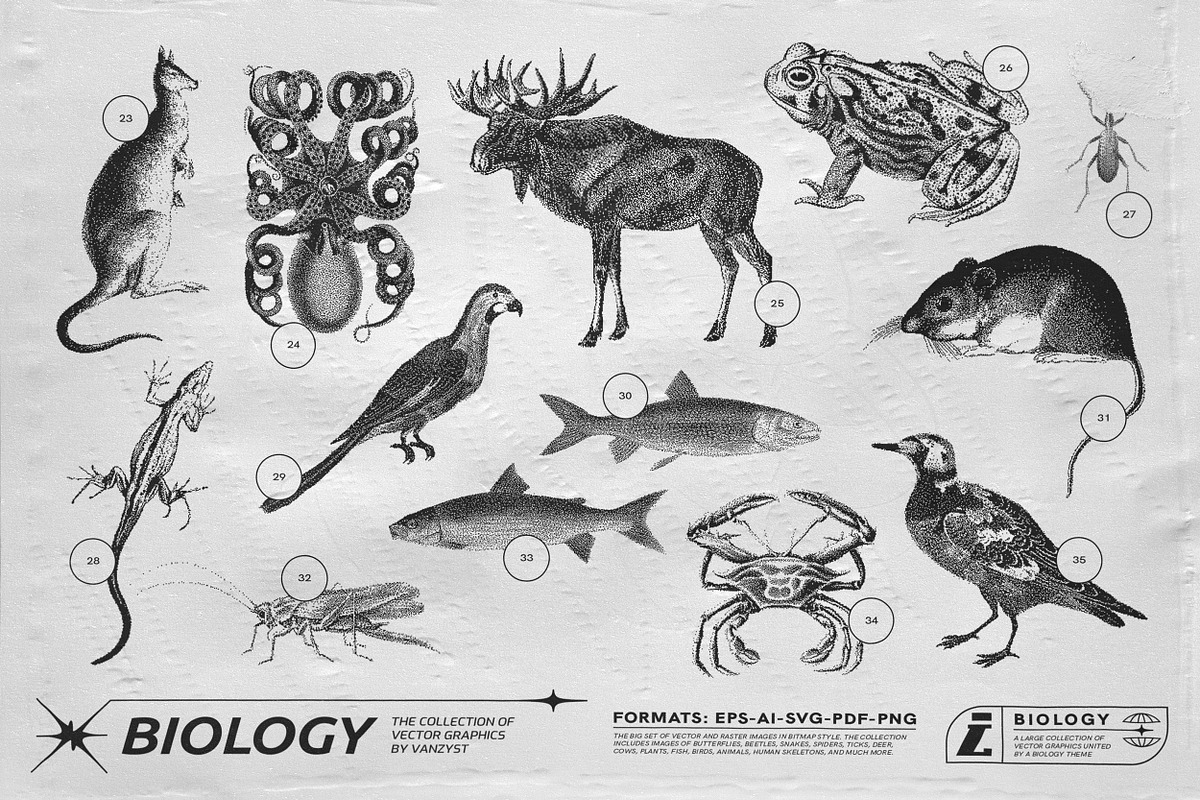 125 Vector Bitmap Assets. Biology, a Graphic by Vanzyst (Photo 4 of 16)