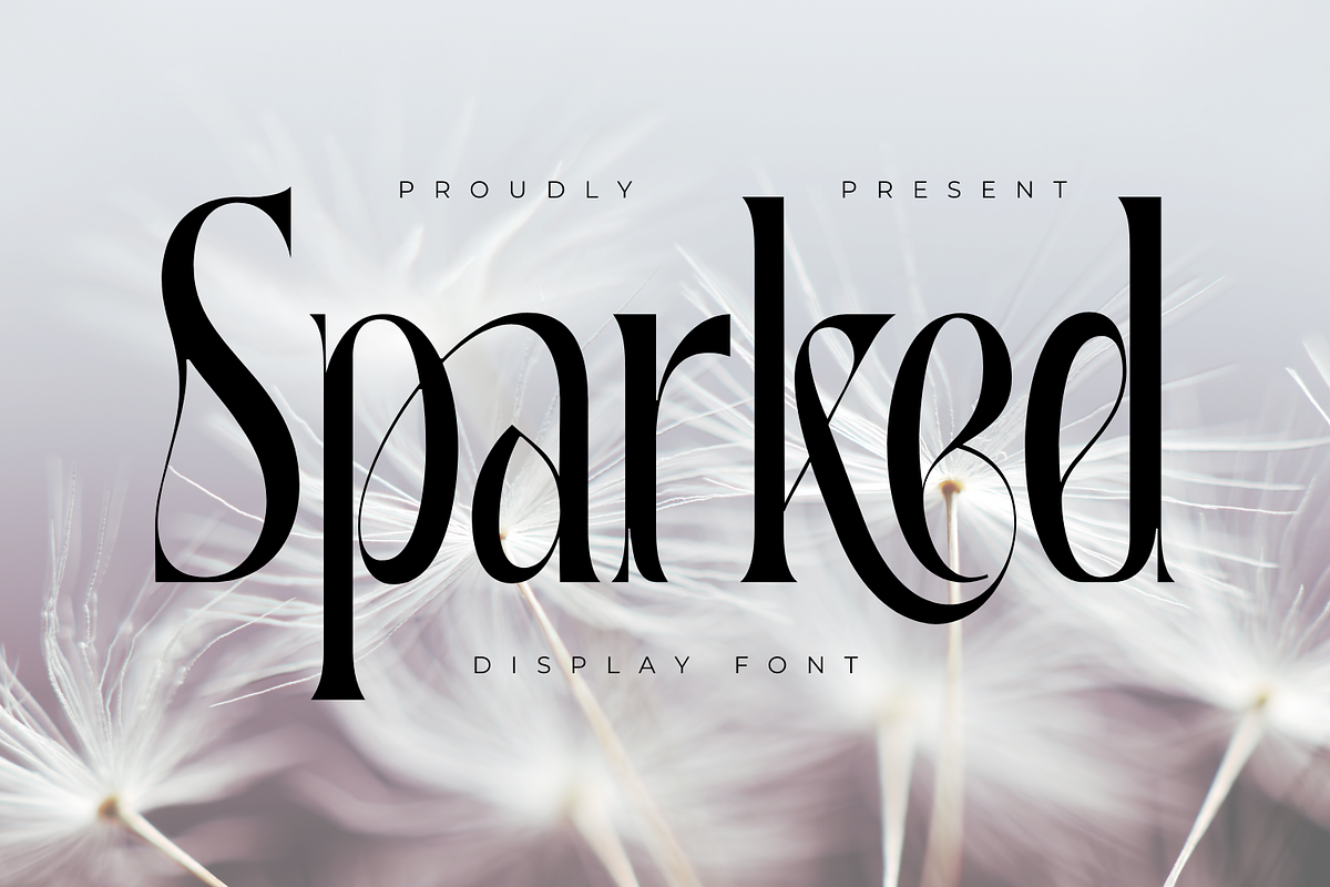 Sparked | Modern Serif Font, a Serif Font by 177Studio (Photo 1 of 8)