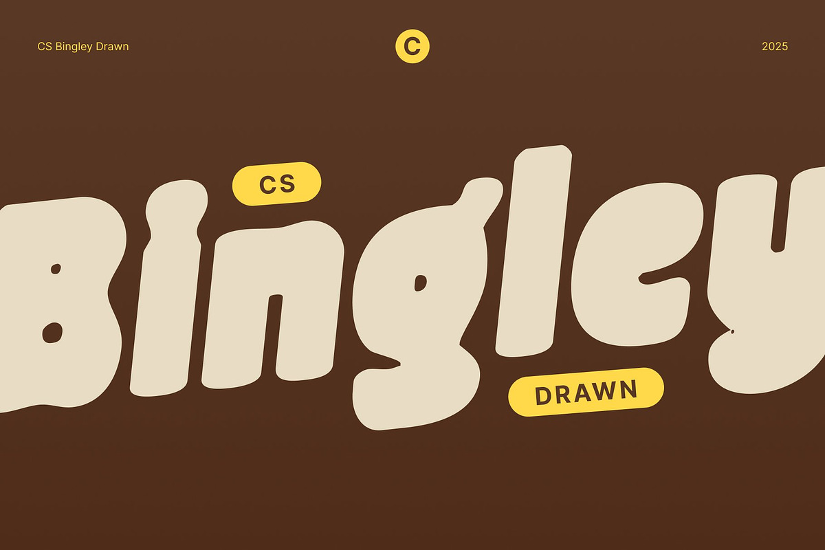 CS Bingley Drawn, a Sans Serif Font by Craft Supply Co. (Photo 1 of 8)