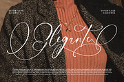 Nourisha Besthafi Stylish Font, a Script Font by stylishtype.co (Thumbnail 9 of 20)