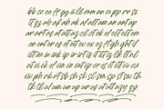 Sejatty Gartena Aesthetic Font, a Script Font by Letterena Studios Script (Thumbnail 9 of 15)