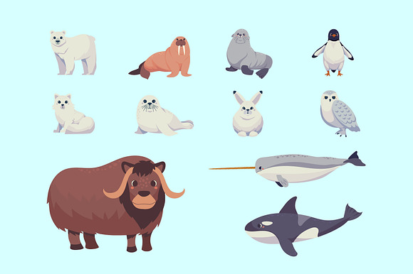 Arctic Animals Illustration Set preview 2