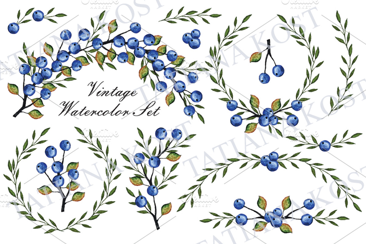 Watercolor set.Blue berries,branches