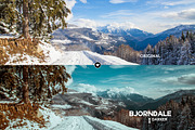 Bjorndale Presets - Desktop & Mobile, an Action Add-On by Presetrain Co. (Thumbnail 8 of 9)